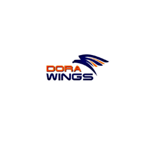 Dora Wings logo