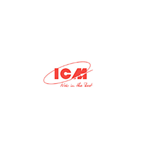 ICM Models logo