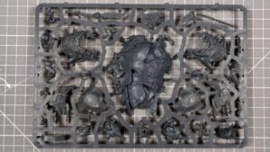 Tuskboss on Maw-Grunta trzecia wypraska