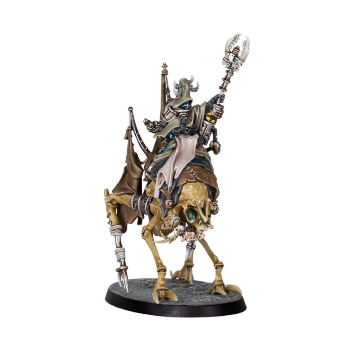 Ash Waste Nomads Wy'tari Stormcaller