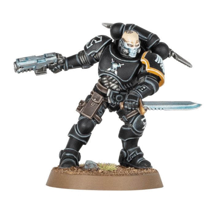 Raven Guard Reivers