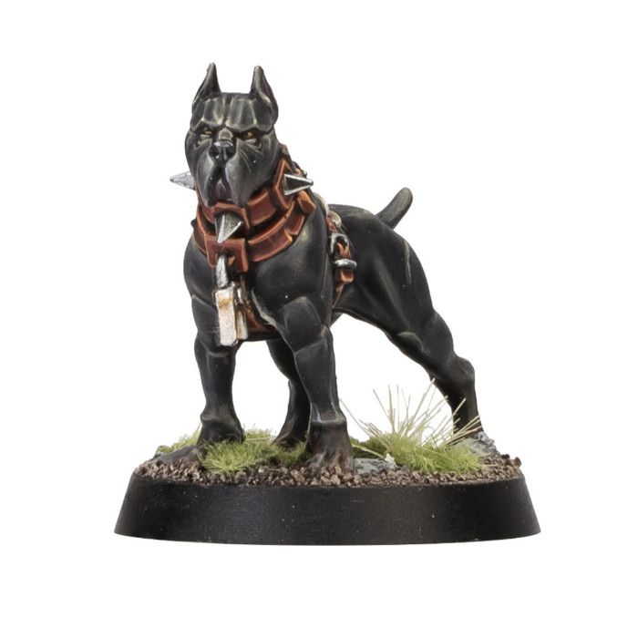 Wildercorps Trailhound