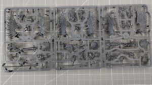 Wypraska z Prosecutors Age of Sigmar Starter Set