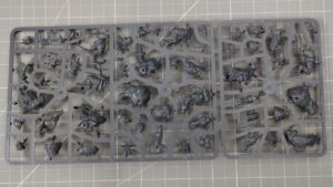 Wypraska z Rat Ogors Age of Sigmar Starter Set